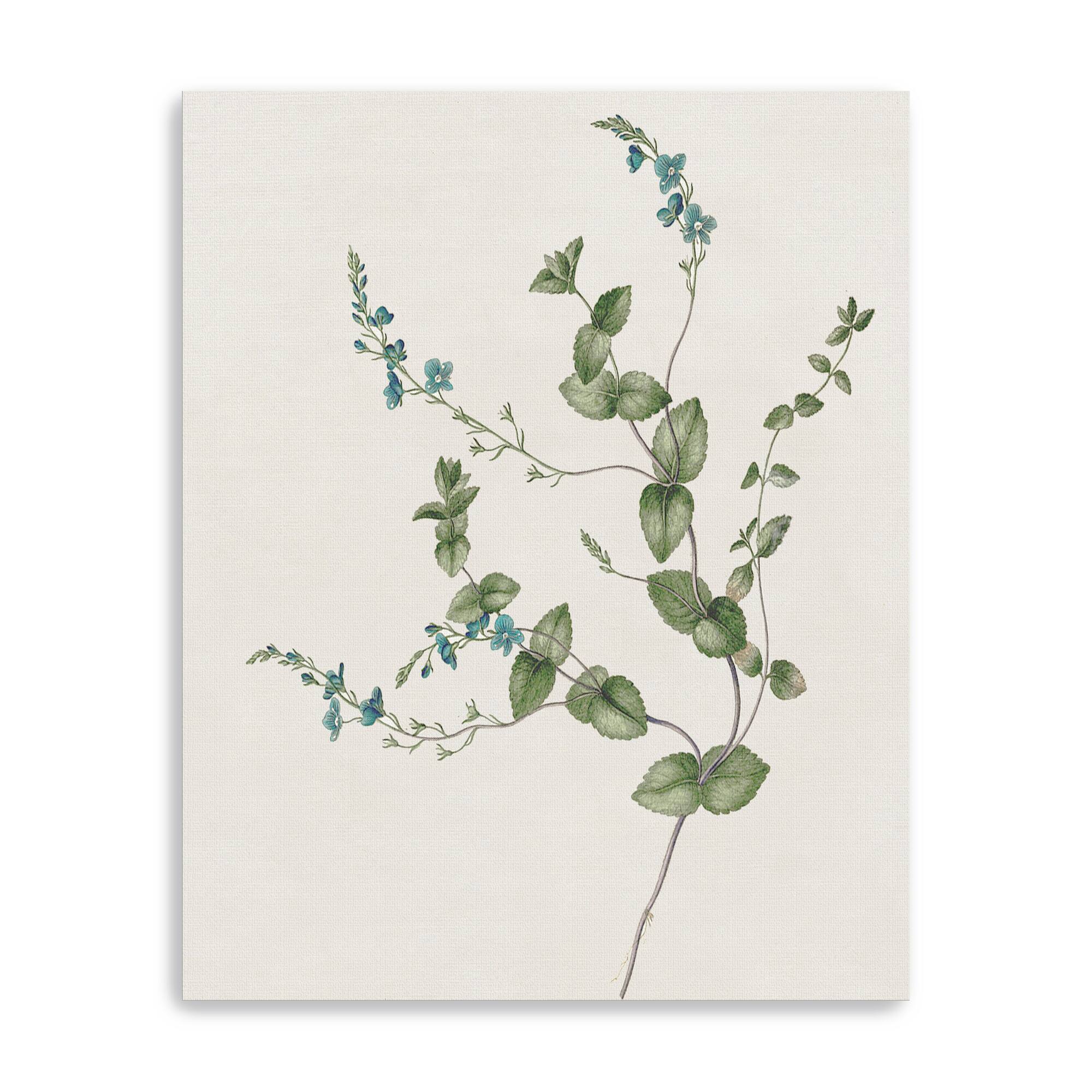 Blue Wispy II Canvas Giclee
